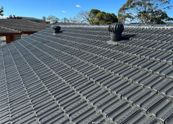 Roof Painting for Terracotta Roofs Sunshine Coast