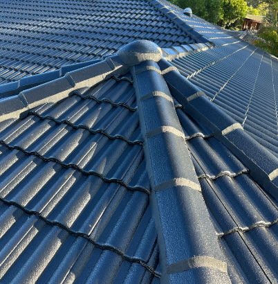 We Are Sunny Coast Roof Painting
