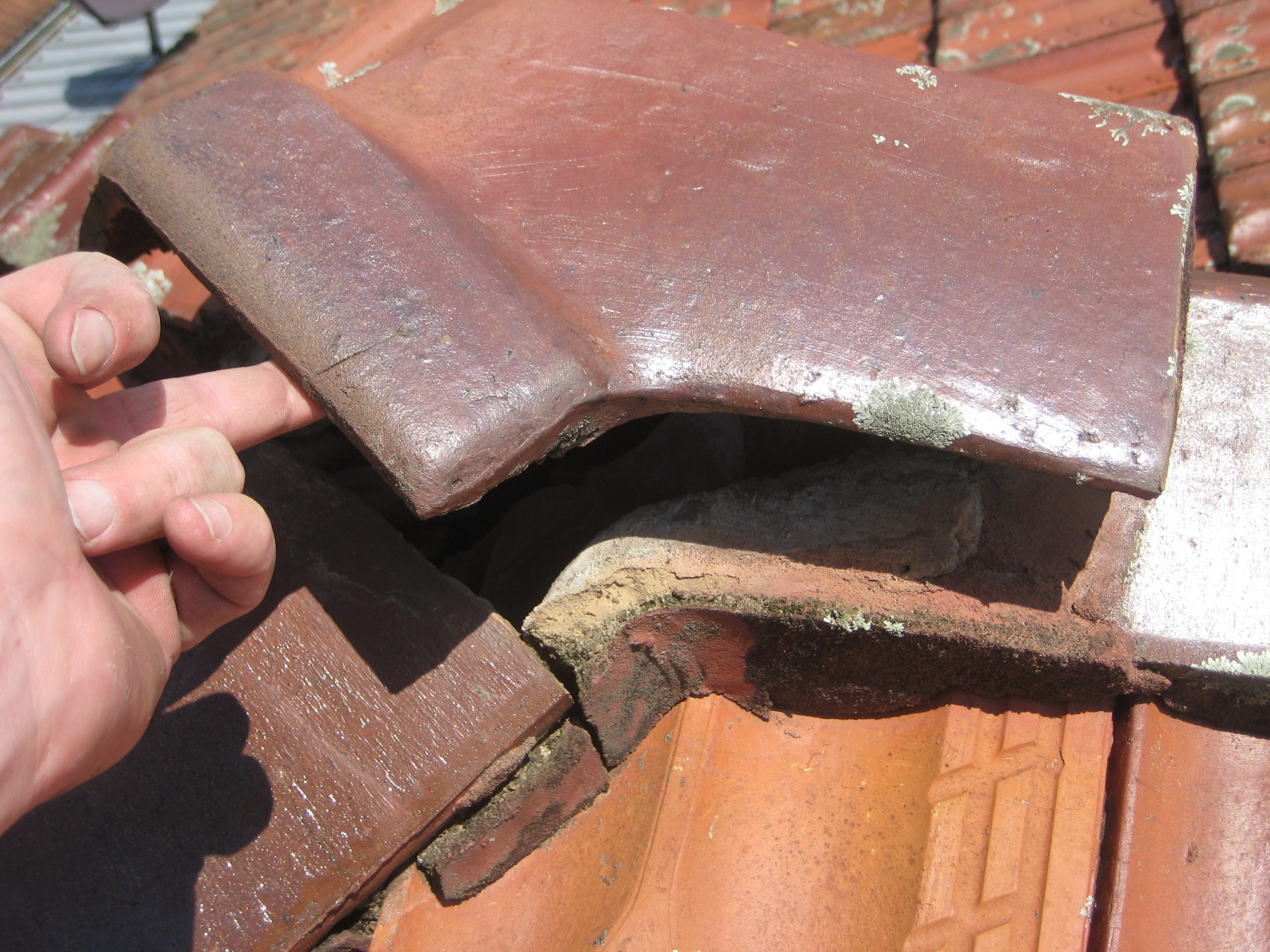 IMG_2242 Roof Restorations for Terracotta Roofs Sunshine Coast